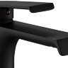 washbasin mixer Rea Hass black (REA-B9964)