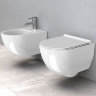 toilet Rea Carter suspended, rimless, seat duroplast soft close (REA-C1450)