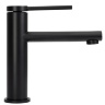 Mezclador de lavabo Rea Oval negro (REA-B6516)