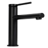 Mezclador de lavabo Rea Oval negro (REA-B6516)