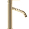 washbasin mixer Rea Level gold (REA-B2044)