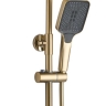 Juego de ducha Rea Helix cepillo dorado (REA-P6621)