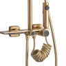 Juego de ducha Rea Helix cepillo dorado (REA-P6621)