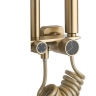 Juego de ducha Rea Helix cepillo dorado (REA-P6621)