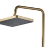 Juego de ducha Rea Helix cepillo dorado (REA-P6621)