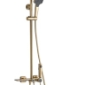 Juego de ducha Rea Helix cepillo dorado (REA-P6621)