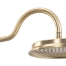 Conjunto de ducha empotrado Rea Serra cepillado oro (REA-B1149)