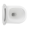 toilet Omnires Ottawa 49x37 rimless suspended, seat duroplast, white matt (OTTAWAMWBM)