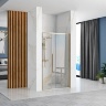 shower door Rea Solar 100x195 safety glass, transparent (REA-K6547)