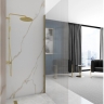 shower wall Rea Aero Intimo 100x195 safety glass, gold brush (REA-K4126)