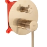 Conjunto de ducha empotrado Rea Lungo cepillado dorado + caja (REA-P6609)