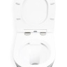 Asiento de inodoro Re Arte duroplast de caída lenta (REA-C5000)