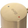 Mezclador de lavabo Rea Tess dorado mate, alto (REA-B5660)