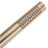 Juego de ducha empotrado Rea Lungo-Miler cepillo dorado (REA-P6716)