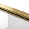 shower door Rea Rapid Slide 100x195 safety glass, transparent, gold (REA-K4707)