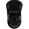 Inodoro Rea Carlo dorado/negro sin borde, asiento de duroplast de caída lenta (REA-C8800)