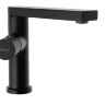 Mezclador de lavabo Rea Tap negro (REA-B2008)