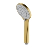 Omnires Yosemite Brushed Gold Shower Head (YOSEMITE-RGLB)