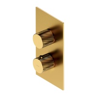 Mezclador de ducha empotrado Omnires Contour con termostato, cepillo dorado (CT8036GLB)