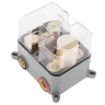 Conjunto de ducha empotrado Rea Lungo caja dorada (REA-P8550)